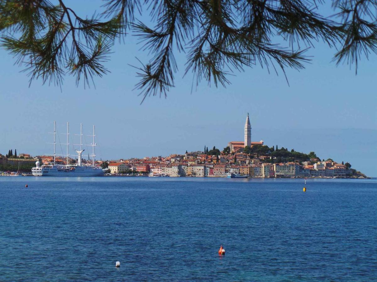 Apartment In Rovinj/Istrien 11735 Exteriör bild